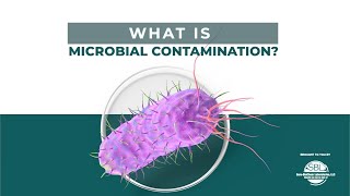 What is Microbial Contamination  Everything to Know [upl. by Iinden952]