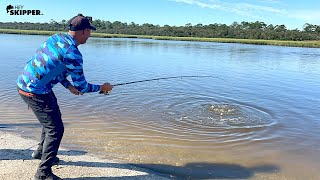 CRAZY things happen while Shore Fishing Florida Saltwater Fishing by Foot [upl. by Bainbrudge410]