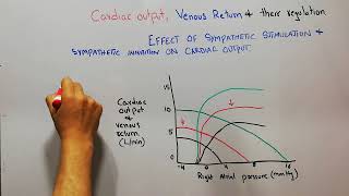 CVS 184  How sympathetic stimulation and inhibition affects cardiac output and venous return curve [upl. by Lletnwahs406]