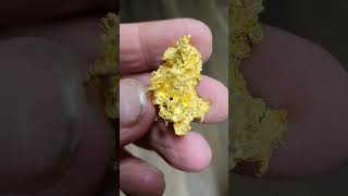 3 Different Crystallized Gold Specimen shortsvideo shorts [upl. by Eikcor360]