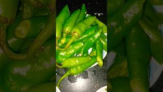 Mirchi ka salanrecipe  cookingytshort [upl. by Rramed]