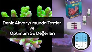 Deniz Akvaryumunda Testler ve Optimum Su Değerleri [upl. by Paola]