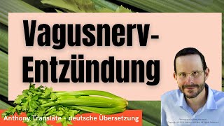 Vagusnerv Entzündung – Anthony William – deutsche Übersetzung [upl. by Wylma]