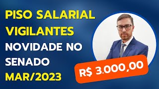 Veja hoje a novidade sobre o Piso Salarial dos Vigilantes no Senado [upl. by Capps]