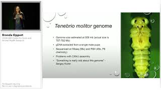 Feed the World Developing Genomic Resources for Insects as Food [upl. by Nosmas611]