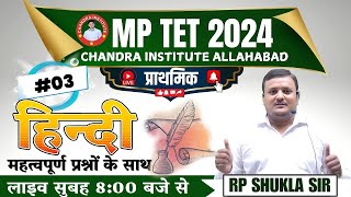 MP TET HINDI प्राथमिक 2024  MP TET HINDI Class  03  MP TET HINDI CLASSES BY CHANDRA INSTITUTE [upl. by Desdee327]