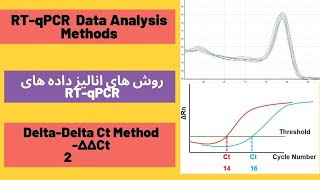 Everything about RTqPCR data analysis and DeltaDelta Ct Livak method Real Time PCR data analysis [upl. by Corinna]