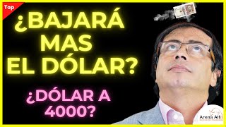 ¿BAJARA MAS EL DOLAR EN COLOMBIA EN 2023 [upl. by Dwight]