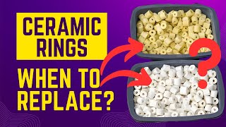 When To Replace Ceramic Rings with New Ones  Best Video  Must Watch [upl. by Aiht348]