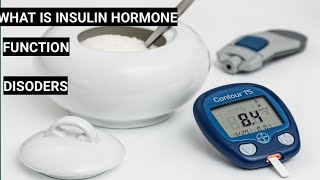 What is insulin hormone [upl. by Damal987]