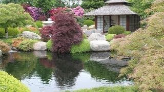 An extraordinary Japanese garden  Un jardin japonais extraordinaire [upl. by Kenweigh]