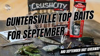 Guntersville Top Baits for September Bass Fishing [upl. by Aihtak862]