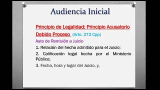 Do Procesal Penal Audiencias Especiales [upl. by Drusi100]