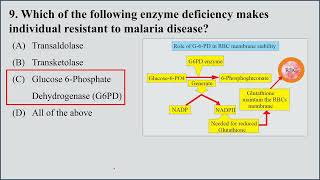 MCQs on Hexose Monophosphate Shunt HMP shunt  Pentose Phosphate Pathway I 15 MCQs for Practice [upl. by Yong194]