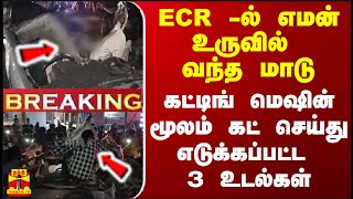 BREAKING  ECR ல் எமன் உருவில் வந்த மாடு கட்டிங் மெஷின் மூலம் கட் செய்து எடுக்கப்பட்ட உடல்கள் [upl. by Ynafetse947]