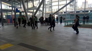 Flashmob Keltisch dansje [upl. by Faxun]