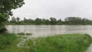 Hochwasser Wien Donauinsel 03062013 [upl. by Anitsirc]