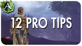 ArcheAge Tips amp Tricks [upl. by Lewap]