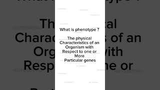 Phenotype Explained Simply [upl. by Chainey]