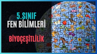 5SINIF  FEN BİLİMLERİ  BİYOÇEŞİTLİLİK [upl. by Odareg229]