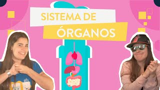 Sistema de órganos tejidos órganos y sistemas [upl. by Galliett]