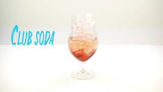 How to make a Sloe Gin Spritz Cocktail [upl. by Fernanda]