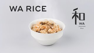 【WA RICE】JAPANESE CUISINE ｜Japanese Seasoned Rice rice steamed with assorted ingredients [upl. by Sudhir]