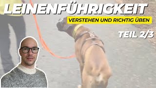 Hundeschule Ludwig  Die Challenge  Wie beschäftige ich meinen Hund Zuhause [upl. by Nanaj]