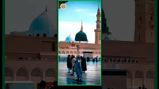 madina bula lijiye 🕋🥀👈 love allahhuakbarallahhuakbar [upl. by Utir]