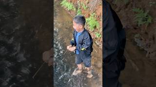 Anak Kecil Menangkap Ikan Channa Pakai Tangan shorts short shortvideo [upl. by Ahsiatal]