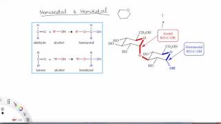 Hemiacetal amp Hemiketal Overview  Structure of Organic Molecules  Griti [upl. by Klemm107]