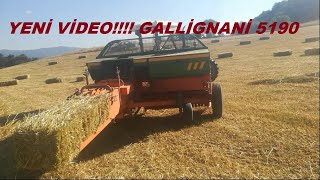 GALLİGNANİ 5190 YULAF BAĞLIYORUZ MASSEY FERGUSON 277 GOLD BALE MACHINE BALE MAKING [upl. by Eislek]