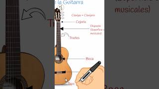 🎸Partes de La Guitarra  Aprende Guitarra desde Cero  Guía para PRINCIPIANTES [upl. by Pernell701]