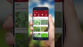 AgroStar Agri Doctor App Gyaan  Crop Info Hindi [upl. by Ylrrad843]