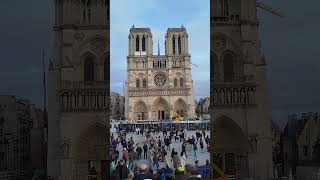 Notre dame réouverture 8 décembre ✨✨ paris notredame bonheur miracle [upl. by Lokkin]