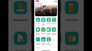 How To Get Proof Of Payment On FNB Mobile Banking App First National Bank [upl. by Rheingold]