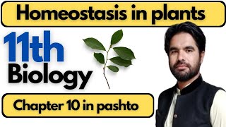 Homeostasis in plants in pashto  Class 11th biology  Chapter 10 [upl. by Tena]