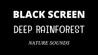 Tropical Rainforest Sounds with Rain 10 Hours Black Screen Relaxing Sleep Dark Screen Sleep well [upl. by Asylem]