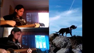 Djelevic88  The Last Of the Mohicans Theme Acoustic Instrumental cover [upl. by Krum834]