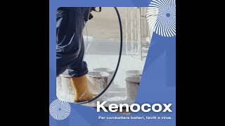 Kenocox [upl. by Yttig]