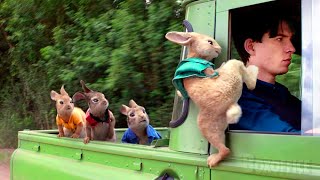 Peter Rabbits best funny scenes 🌀 4K [upl. by Weiser26]