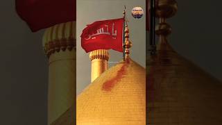 hussain Al ghareeb 😭 nokrishabbiraski🙏🏻 youtube hussaini shorts ytviral shortsviral [upl. by Dduj]