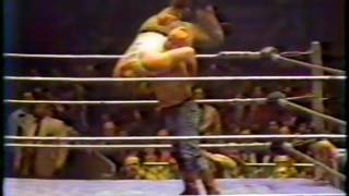 WWF Classic Wrestling 1981 2 [upl. by Lynette277]