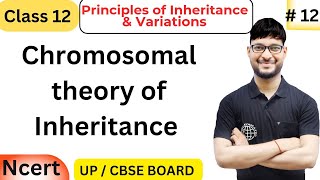 Chromosomal Theory of Inheritance  Class 12 Biology  NCERT [upl. by Nairbal]