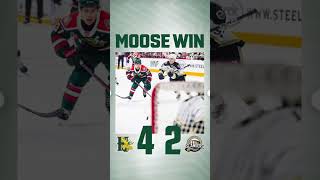 Halifax Mooseheads win hockey qmjhl mooseheads shorts [upl. by Yzdnil981]