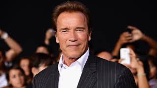 Enneagram analysis of Arnold Schwarzenegger Social 3 [upl. by Lanny]