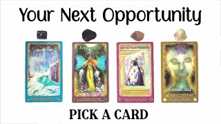 PICK A CARD 💜 Your Next Opportunity 🎁🙏 [upl. by Kolnick898]