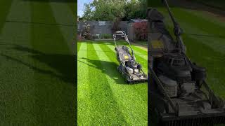 Weibang lawn stripes lawn lawncare mower [upl. by Asseral]