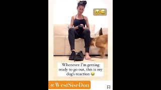 MY DOGS 🐕 WAY OF TELLING ME NOT LEAVE WITHOUT HIM 😅 MUST SEE dog doglover funny smule shorts [upl. by Ally725]