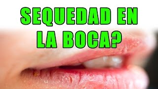 Como Quitar La Sequedad De La Boca y Mejorar El Gusto [upl. by Fevre]